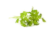 Chervil