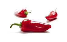 Fresno Chile Peppers