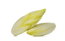 Belgian Endive