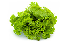 Escarole