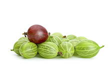 Gooseberries