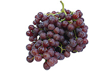 Red Seedless Grapes