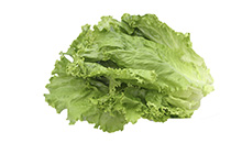 Washed & Trimmed Green Leaf Lettuce