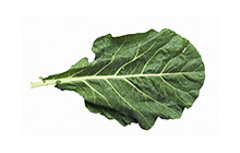 Collard Greens