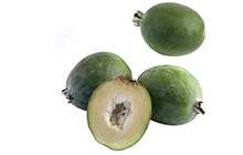 Guavas