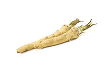 Horseradish Root