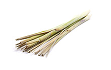 Lemon Grass