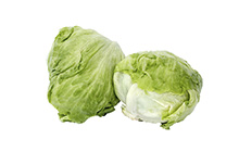 Premium Lettuce