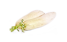 Lo Bok Radish