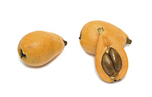 Loquats