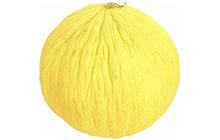 Casaba Melon