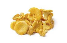 Chanterelle Mushrooms