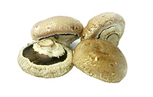 Portabella Mushrooms