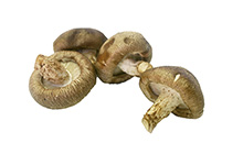 Shiitake Mushrooms