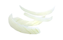 Yellow Onion Slivers