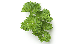 Ready-Set-Serve Bunched Parsley