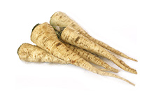 Parsley Root