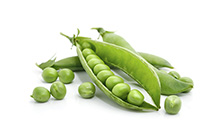 Green Peas