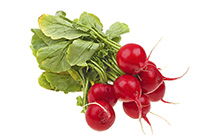 Red Radishes