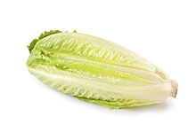 Romaine Hearts