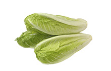 Washed & Trimmed Romaine Hearts