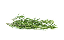 Rosemary