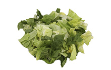 Iceberg Romaine 30 70