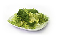 Romaine Iceberg Blend 50 50