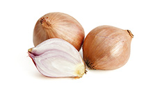 Shallots