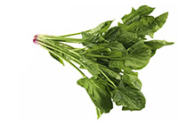 Flat Leaf Spinach