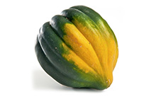 Acorn Squash