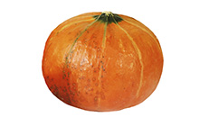 Golden Nugget Squash