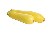 Straightneck Squash