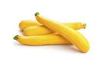 Yellow Squash