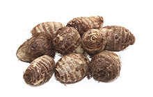 Taro Root