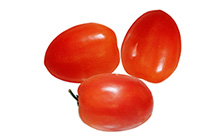 Roma Tomatoes