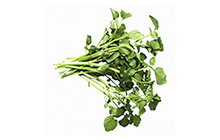 Watercress